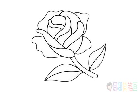 玫瑰花简笔画分步骤画法-5