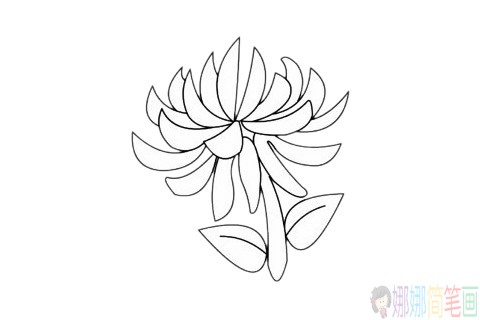 一组简单好画的花朵简笔画线稿-3