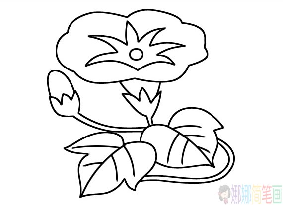 一组简单好画的花朵简笔画线稿-4