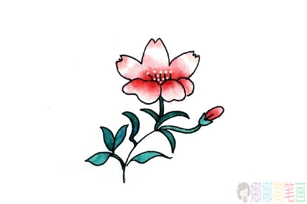 精美的彩色水粉画花朵图片-2