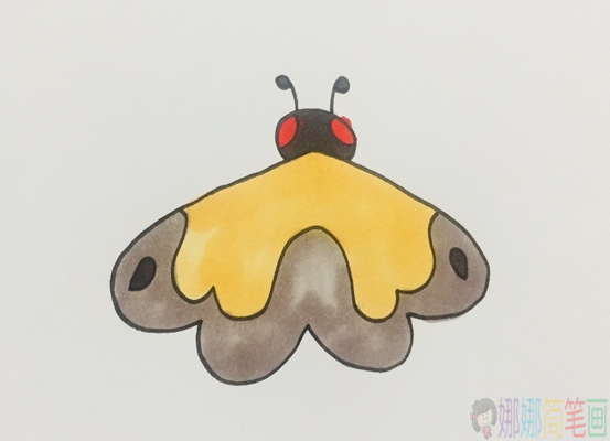 飞蛾简笔画,飞蛾儿童绘画步骤-1