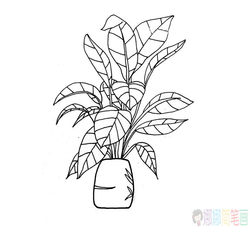 漂亮的盆栽植物简笔画-1