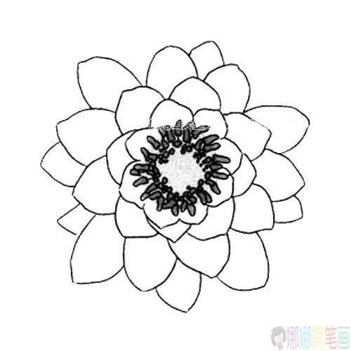 睡莲花简笔画图片大全-3