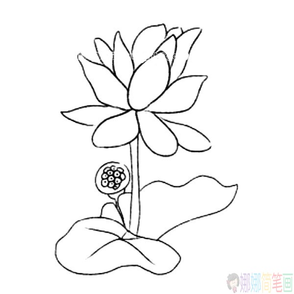 各种漂亮的花朵简笔画大全-2