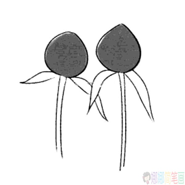 各种漂亮的花朵简笔画大全-3