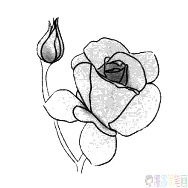 各种漂亮的花朵简笔画大全-4