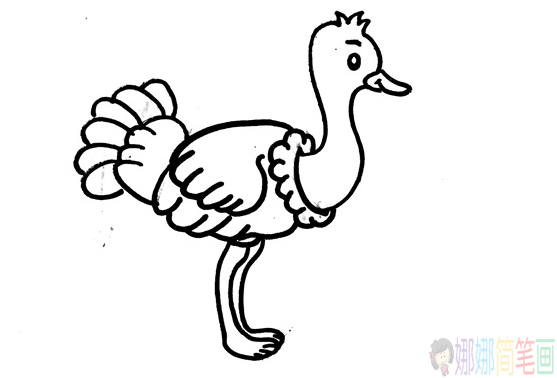 鸵鸟儿童简笔画-3