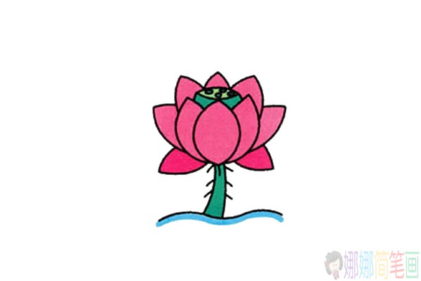 各种造型的彩色荷花简笔画-2