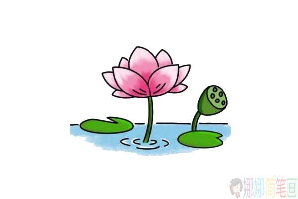 各种造型的彩色荷花简笔画-3
