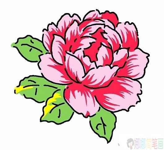 简笔画图片牡丹花-1
