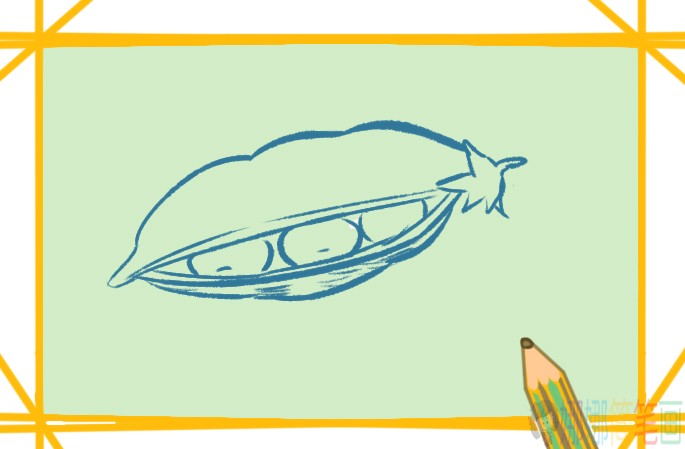 豌豆简笔画,豌豆怎么画-4