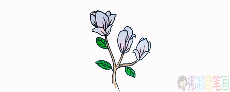 玉兰花简笔画,玉兰花儿童画-1