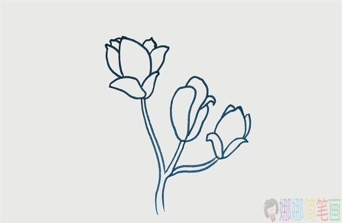 玉兰花简笔画,玉兰花儿童画-3