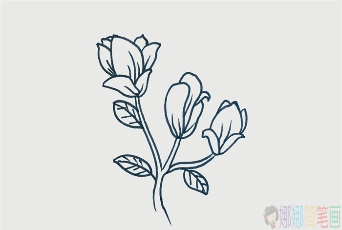 玉兰花简笔画,玉兰花儿童画-4