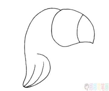 鹦鹉简笔画画法步骤-3