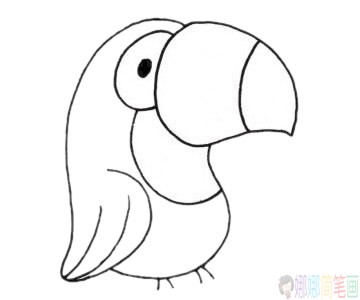鹦鹉简笔画画法步骤-4