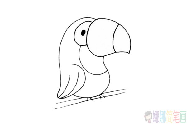 鹦鹉简笔画画法步骤-5