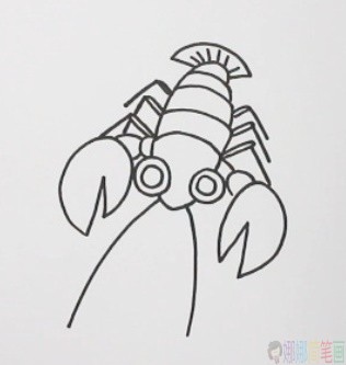 龙虾简笔画,龙虾儿童画-3