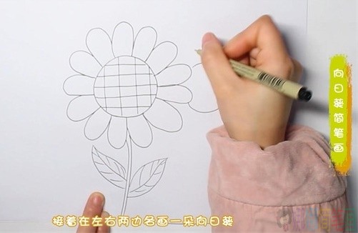 彩色向日葵简笔画步骤图-2