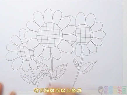 彩色向日葵简笔画步骤图-3