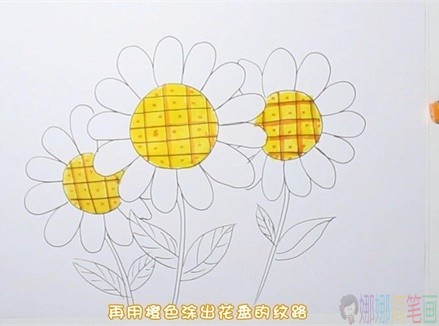 彩色向日葵简笔画步骤图-4