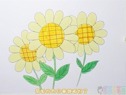 彩色向日葵简笔画步骤图-5