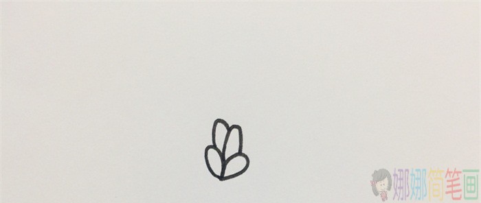 薰衣草花朵简笔画-2
