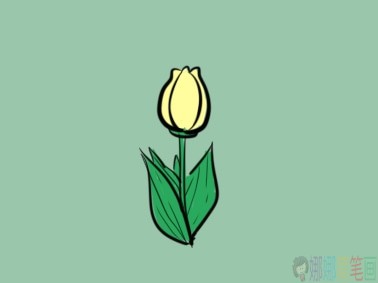 郁金香花朵幼儿简笔画-1