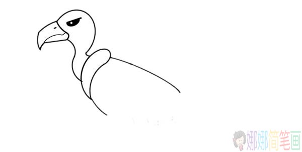 秃鹫儿童简笔画图片-3