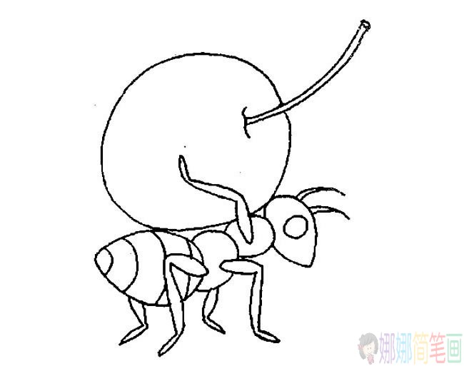 小蚂蚁搬东西简笔画图片-2
