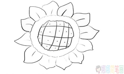 向日葵儿童简笔画图片大全-5