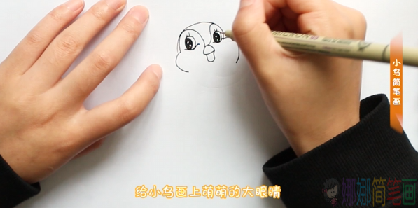 简单好画的小鸟简笔画画法-2