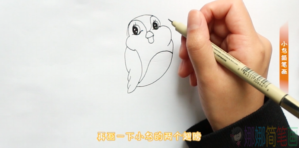 简单好画的小鸟简笔画画法-3