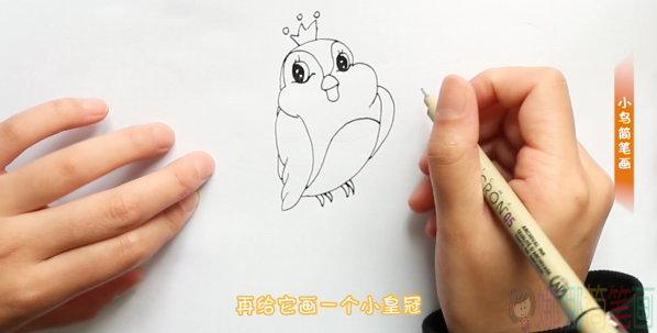 简单好画的小鸟简笔画画法-4
