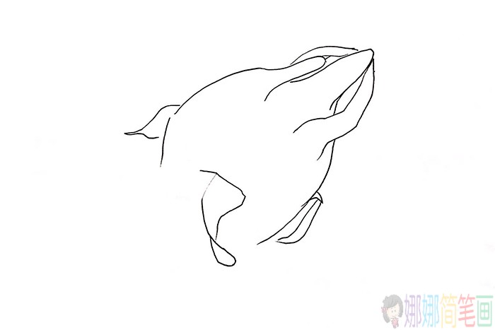 火龙果简笔画,水果简笔画大全-3