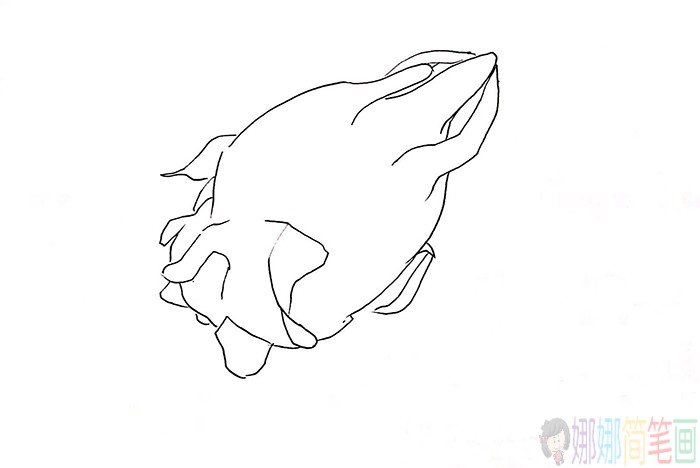 火龙果简笔画,水果简笔画大全-4