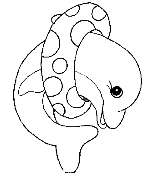 海豚儿童简笔画,海豚怎么画-2
