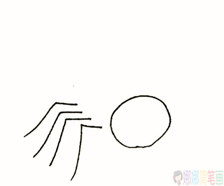 蜘蛛简笔画的画法-2