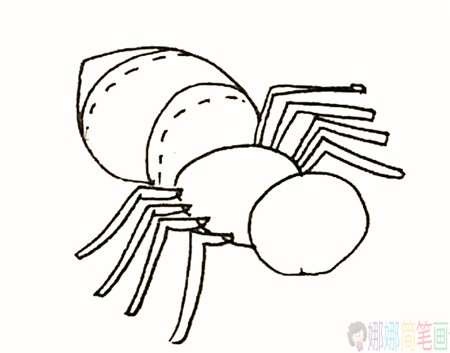 蜘蛛简笔画的画法-4