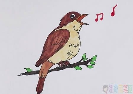 夜莺小鸟简笔画教程-1