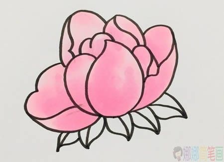 芍药花朵简笔画步骤教程-1