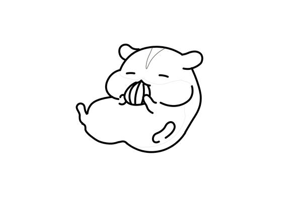 睡觉的老鼠简笔画-3
