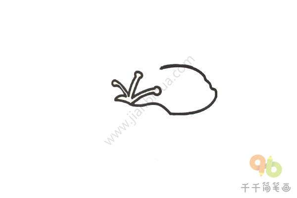 桃花简笔画_教你画-2