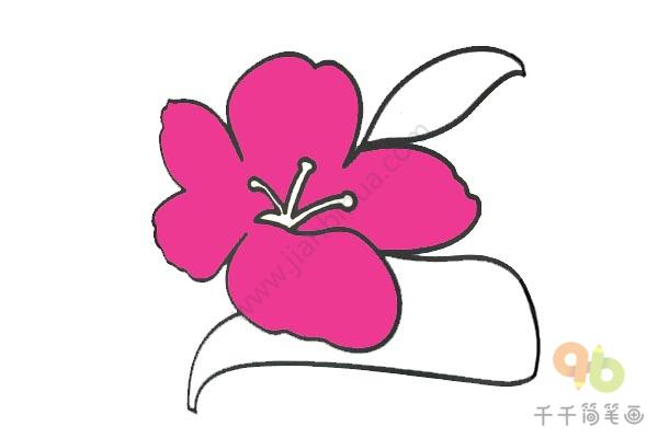 桃花简笔画_教你画-5