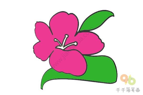 桃花简笔画_教你画-6