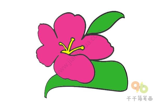 桃花简笔画_教你画-7