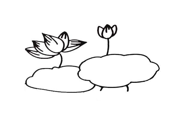 荷花简笔画-9