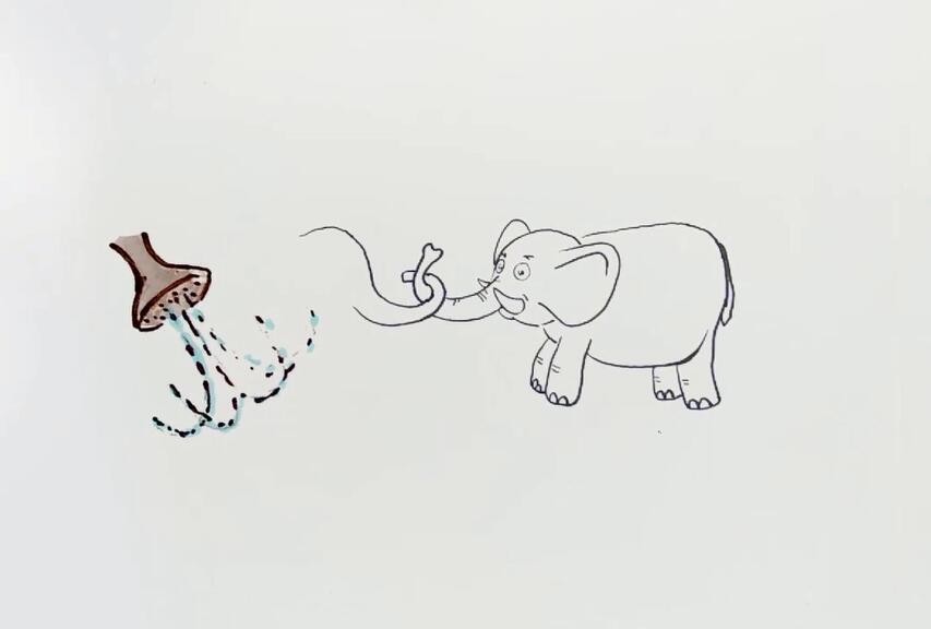 两只大象来拔河简笔画-3