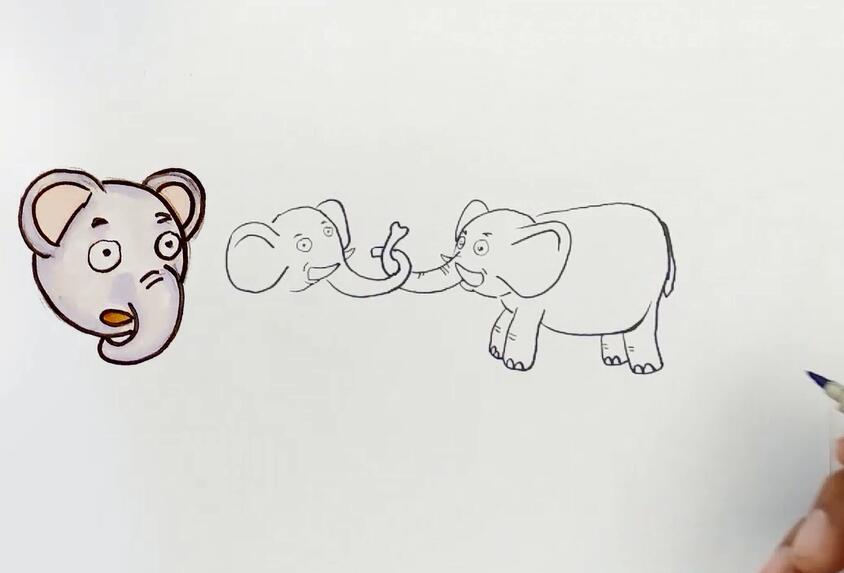 两只大象来拔河简笔画-4