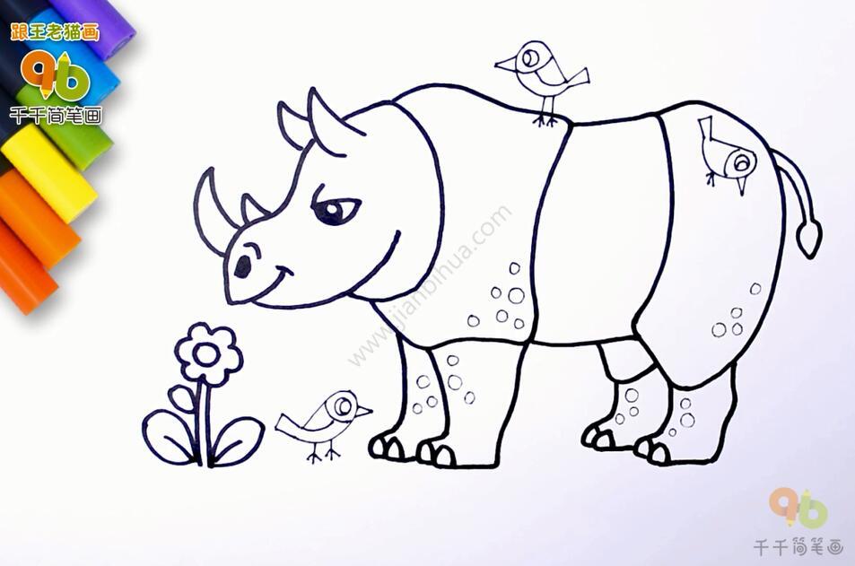 犀牛儿童科普简笔画-4
